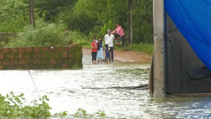 ಉಕ್ಕಿ ಹರಿದ ಕಾವೇರಿ – ಕೃಷಿ ಗದ್ದೆಗಳು ಜಲವೃತ