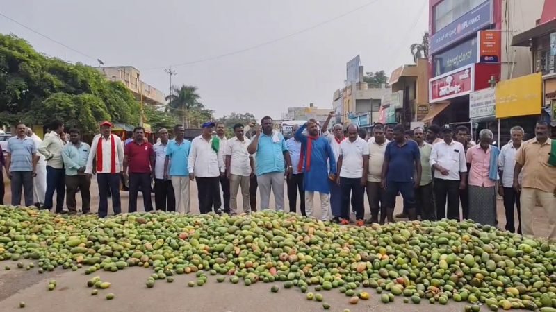 Kolar | ಮಾವಿನ ಹಣ್ಣಿಗೆ ಬೆಲೆ ಕುಸಿತ – ಇಂದು ಶ್ರೀನಿವಾಸಪುರ ತಾಲೂಕು ಬಂದ್