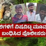 5 ಹುಲಿಕೊಂದ ಹಂತರು ಲಾಕ್ – ಕೊನೆಗೂ ಹೊರಬಂತು ರಹಸ್ಯ, 3 ಆರೋಪಿಗಳಿಗೆ ನ್ಯಾಯಾಂಗ ಬಂಧನ