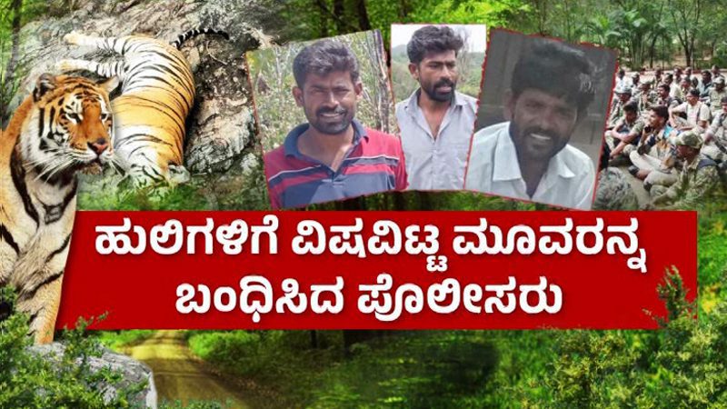 5 ಹುಲಿಕೊಂದ ಹಂತಕರು ಲಾಕ್ – ಕೊನೆಗೂ ಹೊರಬಂತು ರಹಸ್ಯ, 3 ಆರೋಪಿಗಳಿಗೆ ನ್ಯಾಯಾಂಗ ಬಂಧನ