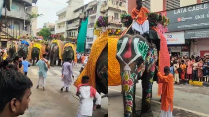ಜಗನ್ನಾಥ ರಥಯಾತ್ರೆ ಮೆರವಣಿಗೆಯಲ್ಲಿ ದಿಕ್ಕಾಪಾಲಾಗಿ ಓಡಿದ ಆನೆಗಳು – ಬೆಚ್ಚಿಬಿದ್ದ ಭಕ್ತರು