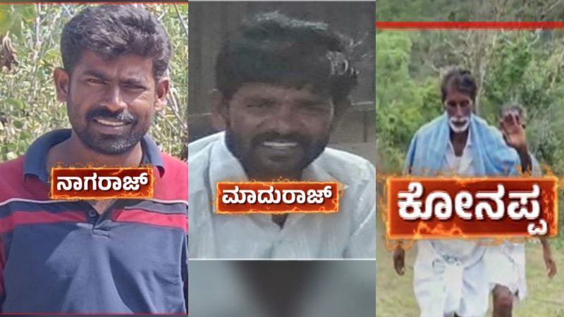5 ಹುಲಿಗಳ ಸಾವು ಕೇಸ್ – ಮೃತ ಹಸು ಮಾಲೀಕ ಸೇರಿ ಮೂವರ ಬಂಧನ