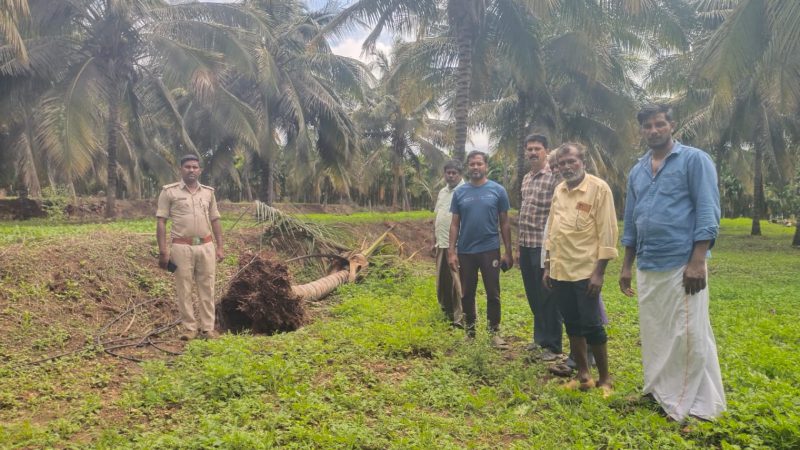 ಚಾ.ನಗರ| ಜಮೀನಿಗೆ ನುಗ್ಗಿ ತೆಂಗು ಬೆಳೆ ನಾಶಪಡಿಸಿದ ಕಾಡಾನೆಗಳ ಹಿಂಡು
