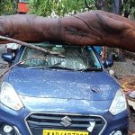 ಬೆಂಗಳೂರಲ್ಲಿ ಮಳೆ ಅವಾಂತರ – ಕಾರಿನ ಮೇಲೆ ಬಿದ್ದ ಬೃಹತ್‌ ಮರ, ಚಾಲಕ ಗ್ರೇಟ್‌ ಎಸ್ಕೇಪ್‌