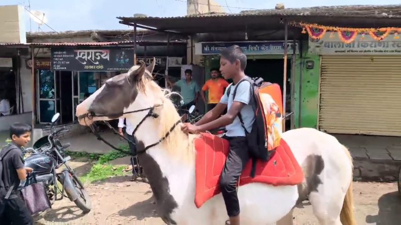 ಸರಿಯಾದ ಸಮಯಕ್ಕೆ ಬಾರದ ಬಸ್; ನಿತ್ಯ ಕುದುರೆ ಏರಿ ಶಾಲೆಗೆ ಹೋಗ್ತಿದ್ದಾನೆ ಬಾಲಕ