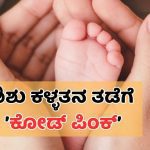ಮಹಾರಾಷ್ಟ್ರದ ಸರ್ಕಾರಿ ಆಸ್ಪತ್ರೆಗಳಲ್ಲಿ ನವಜಾತ ಶಿಶು ಕಳ್ಳತನ ತಡೆಯಲು ಹೊಸ ಕ್ರಮ – ಏನಿದು ಕೋಡ್‌ ಪಿಂಕ್‌?