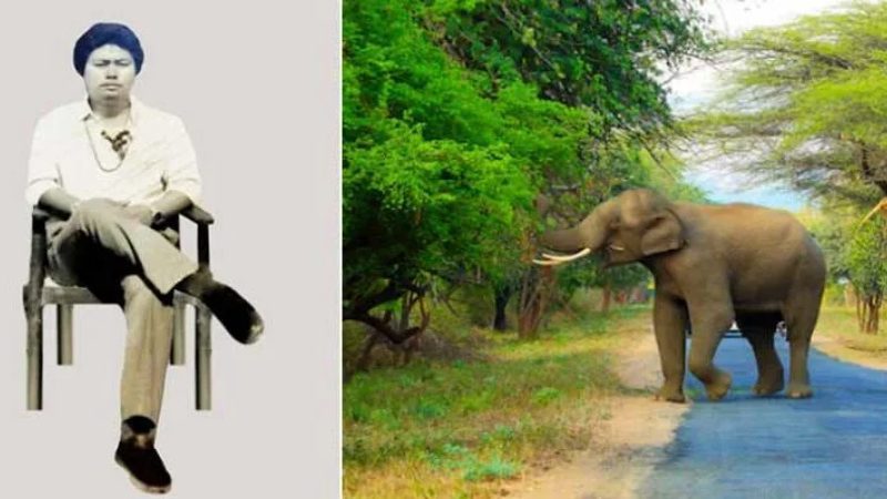 ಕಾಡಾನೆ ದಾಳಿಗೆ ಮಾಜಿ ಶಾಸಕ ಬಲಿ