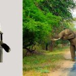 ಕಾಡಾನೆ ದಾಳಿಗೆ ಮಾಜಿ ಶಾಸಕ ಬಲಿ