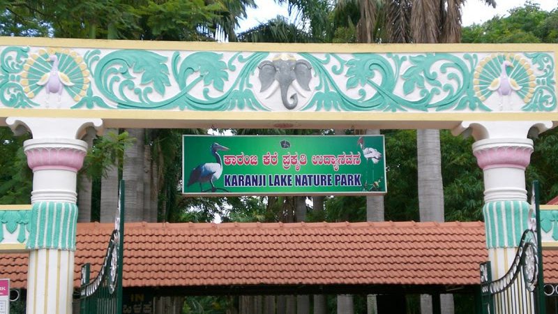 ಕಾರಂಜಿ ಕೆರೆಯಲ್ಲಿ ಮತ್ಸ್ಯಾಗಾರ ಬದಲಿಗೆ ಪೆಂಗ್ವಿನ್ ಪಾರ್ಕ್ ನಿರ್ಮಿಸಲು ಮುಂದಾದ ಸರ್ಕಾರ