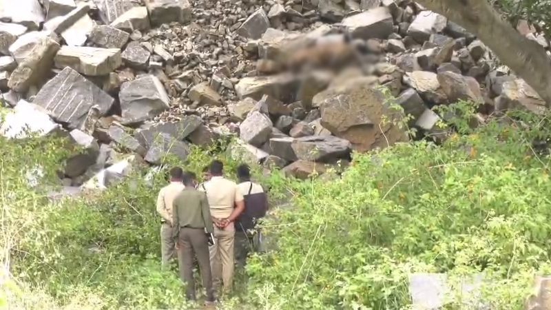 ಚಾಮರಾಜನಗರ | ಹುಲಿಗಳ ಸಾವಿನ ಬಳಿಕ ಚಿರತೆ ಶವ ಪತ್ತೆ – ವಿಷಪ್ರಾಶನ ಶಂಕೆ
