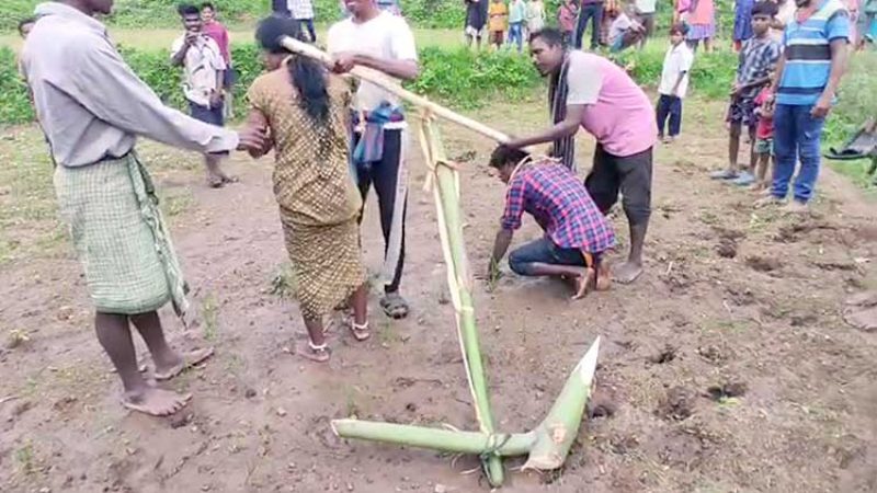 ಪ್ರೀತಿಸಿ ಮದುವೆಯಾದ ಜೋಡಿಗೆ ನೇಗಿಲು ಕಟ್ಟಿ ಎತ್ತುಗಳಂತೆ ಉಳುಮೆ ಮಾಡಿಸಿ ಚಿತ್ರಹಿಂಸೆ