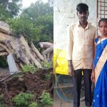ಬೈಕ್ ಮೇಲೆ ಉರುಳಿ ಬಿದ್ದ ಬೃಹತ್ ಮರ – ದಂಪತಿ ಸಾವು, ಬದುಕುಳಿದ 3ರ ಮಗು