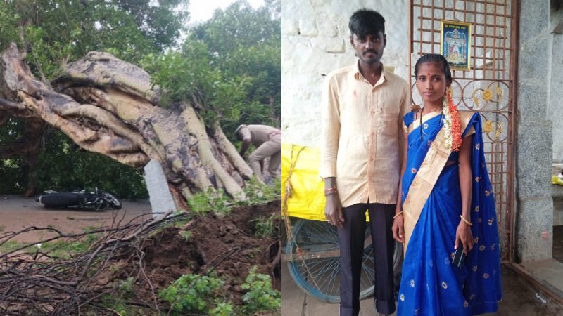 ಬೈಕ್ ಮೇಲೆ ಉರುಳಿ ಬಿದ್ದ ಬೃಹತ್ ಮರ – ದಂಪತಿ ಸಾವು, ಬದುಕುಳಿದ 3ರ ಮಗು