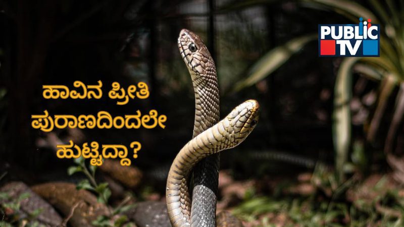 ಹಾವಿನ ದ್ವೇಷ 12 ವರುಷ – ಹಾಗೇ ಪ್ರೀತಿಯೂ ಪುರಾಣದಿಂದಲೇ ಹುಟ್ಟಿದ್ದಾ?
