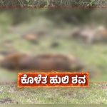 ಚಾ.ನಗರದಲ್ಲಿ 5 ಹುಲಿಗಳ ಸಾವು ಕೇಸ್‌ – ಪ್ರತಿಕ್ರಿಯೆ ನೀಡುವಂತೆ ರಾಜ್ಯ ಸರ್ಕಾರಕ್ಕೆ ಸುಪ್ರೀಂ ಸೂಚನೆ