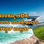 ಆಸ್ಟ್ರೇಲಿಯಾದ ನೈಸರ್ಗಿಕ ವಿಪತ್ತಾದ ‘ಆಲ್ಗಲ್ ಬ್ಲೂಮ್’ – ಈ ಬಿಕ್ಕಟ್ಟಿನ ಹಿಂದಿನ ಕಾರಣವೇನು?