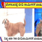 ಬಿಗ್‌ ಬುಲೆಟಿನ್‌ 10 July 2025 ಭಾಗ-3