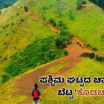 ‌ಪ್ರಕೃತಿ ಸೃಷ್ಟಿಸಿದ ಸ್ವರ್ಗ – ಪಶ್ಚಿಮ ಘಟ್ಟದ ಚಾರಣಸ್ನೇಹಿ ಬೆಟ್ಟ ಕೊಡಚಾದ್ರಿ 