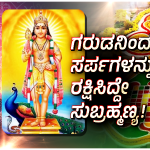 ಆಶ್ಲೇಷ ಬಲಿ ಯಾಕೆ ಮಾಡುತ್ತಾರೆ? ಸುಬ್ರಹ್ಮಣ್ಯನಿಗೂ ನಾಗನಿಗೂ ಏನು ಸಂಬಂಧ?