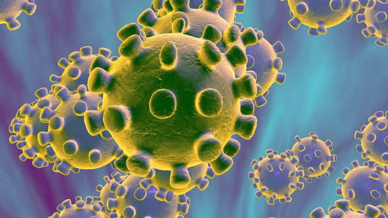 corona Virus 1