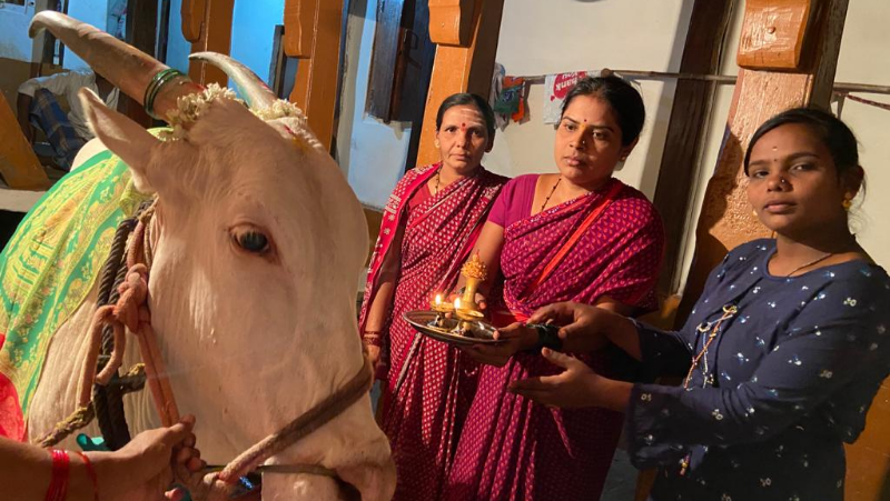 GOVU POOJA