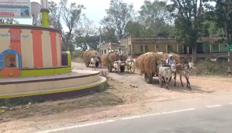 mandya