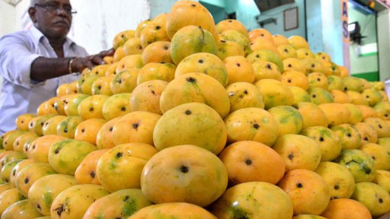 mango