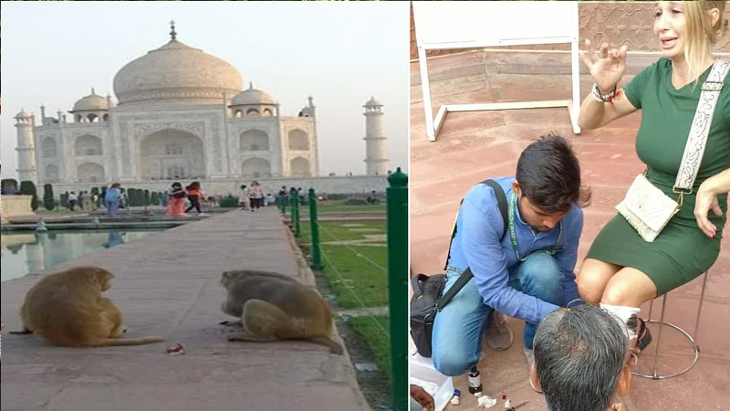 MONKEY ATTACK