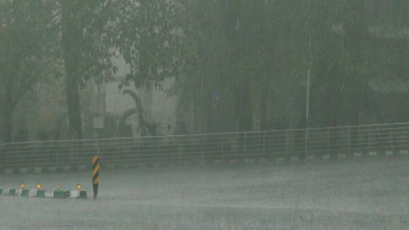 rain