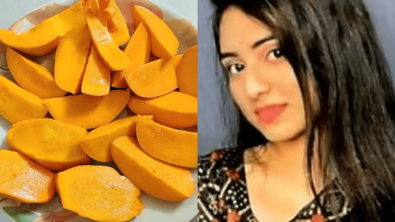 MANGO ARCHANA ALERIA
