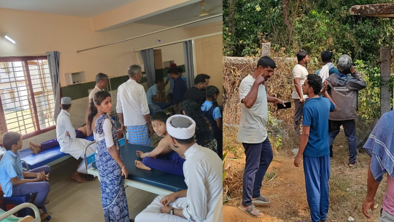 Honey bee attack on school children three students seriously injured i Mangaluru Belthangady