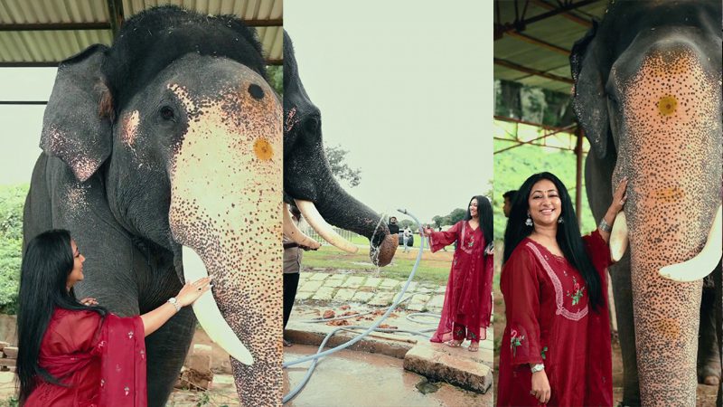 Vijayalakshmi Darshan 2