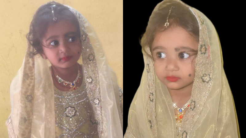 girl died by rabies davanagere