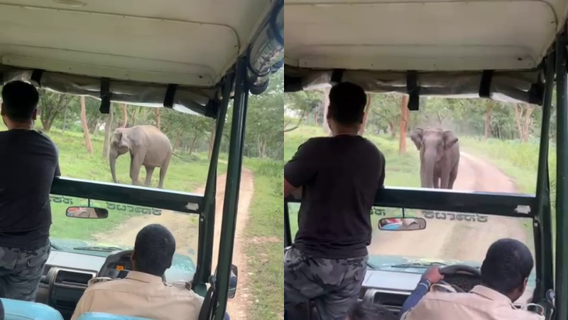 Chamarajanagar Elephant attack