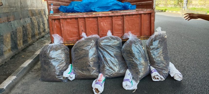 Marijuana seized in udupi