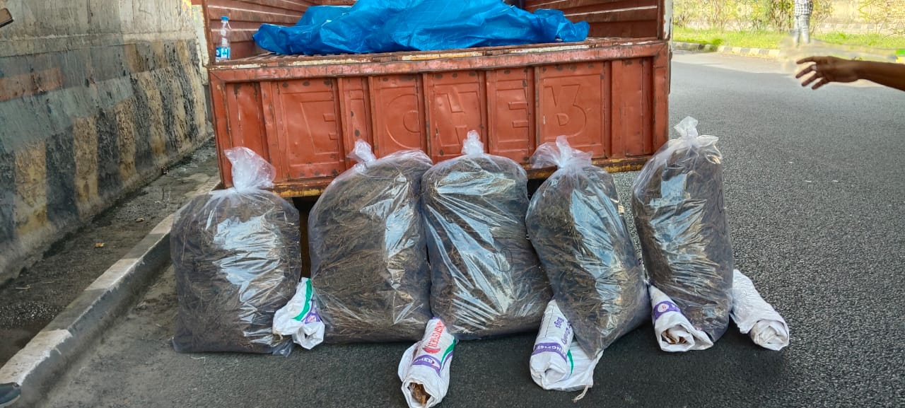 Marijuana seized in udupi