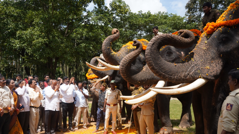 ಶಿವಮೊಗ್ಗ ದಸರಾ | ಗಜಪಡೆಗೆ ಆಹ್ವಾನ - ಈ ಬಾರಿ 10 ದಿನಗಳ ಕಾಲ ಸಂಭ್ರಮದ ಉತ್ಸವ 12 Shivamogga Dasara 1