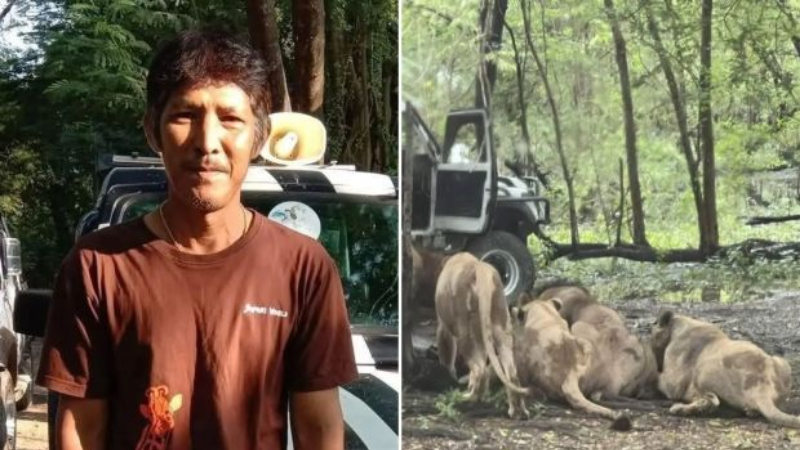 Thailand Zoo Keeper Killed By lions