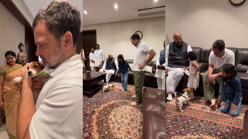 rahul gandhi puppy gift to kharge family
