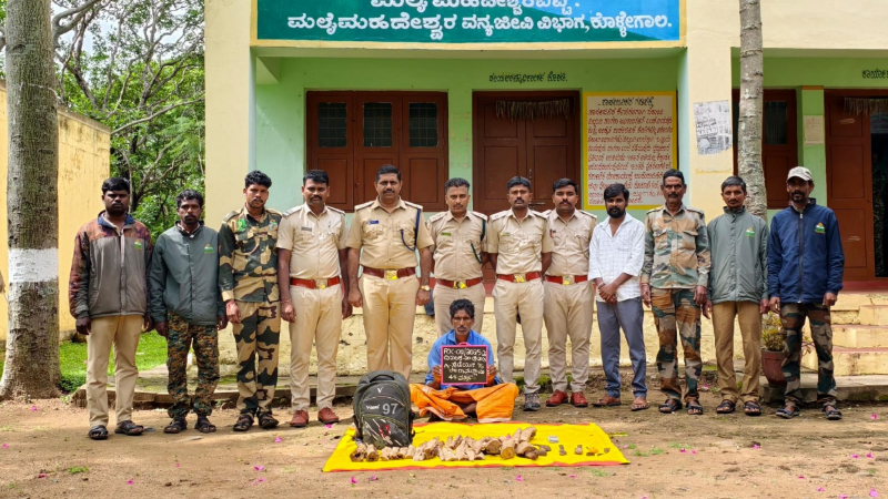 sandalwood theft 1 arrested with 33 sandalwood piece in Male Mahadeshwara Hills