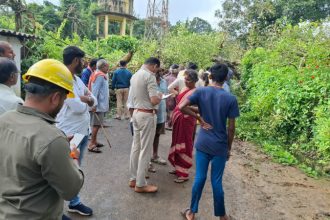 Home News 163 tree falls near anganwadi pregnant woman dies five others including 4 children seriously injured in yellapur kiravatti