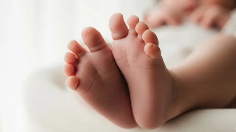 Baby Foot