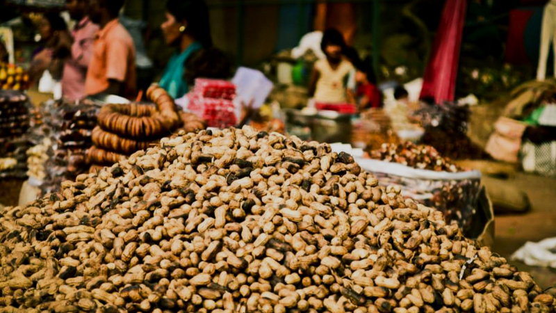 ಐತಿಹಾಸಿಕ ಬಸವನಗುಡಿ ಕಡಲೆಕಾಯಿ ಪರಿಷೆಗೆ ದಿನಾಂಕ ನಿಗದಿ 8 Basavanagudi Kadlekai Parishe