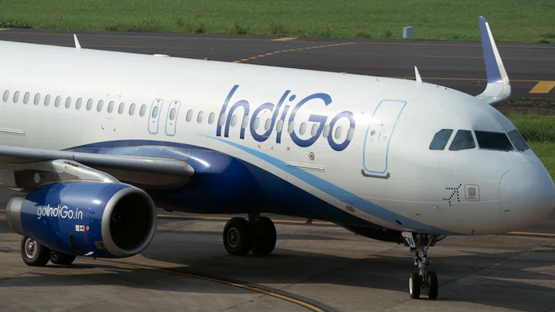 Indi Go 1