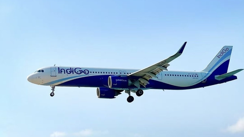 Indigo