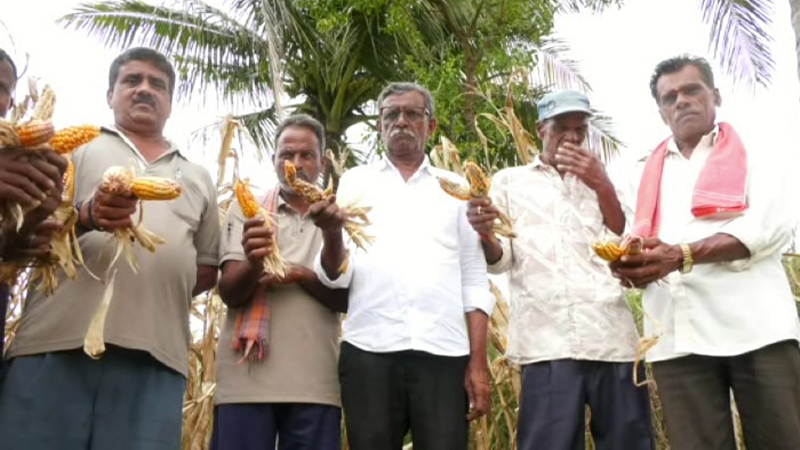 Kodagu Farmers