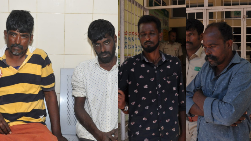 Male Mahadeshwara Hills Tiger