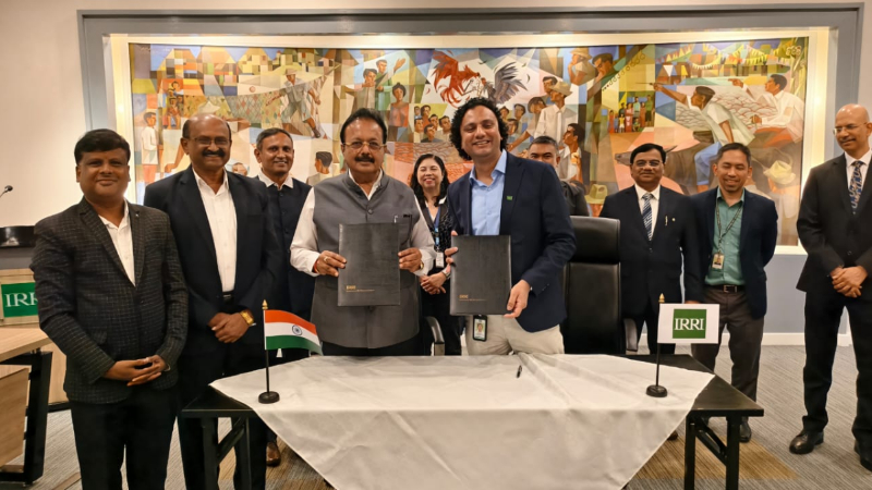 Philippines Paddy Research N Chaluvarayaswamy 3