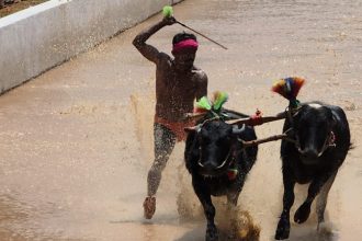 Rotary Kambala 2
