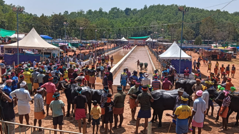 Rotary Kambala